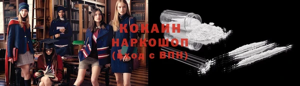 дмт Тавда