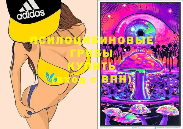 мдма Коряжма