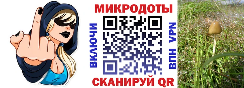 хочу наркоту  Фурманов  Галлюциногенные грибы мухоморы 