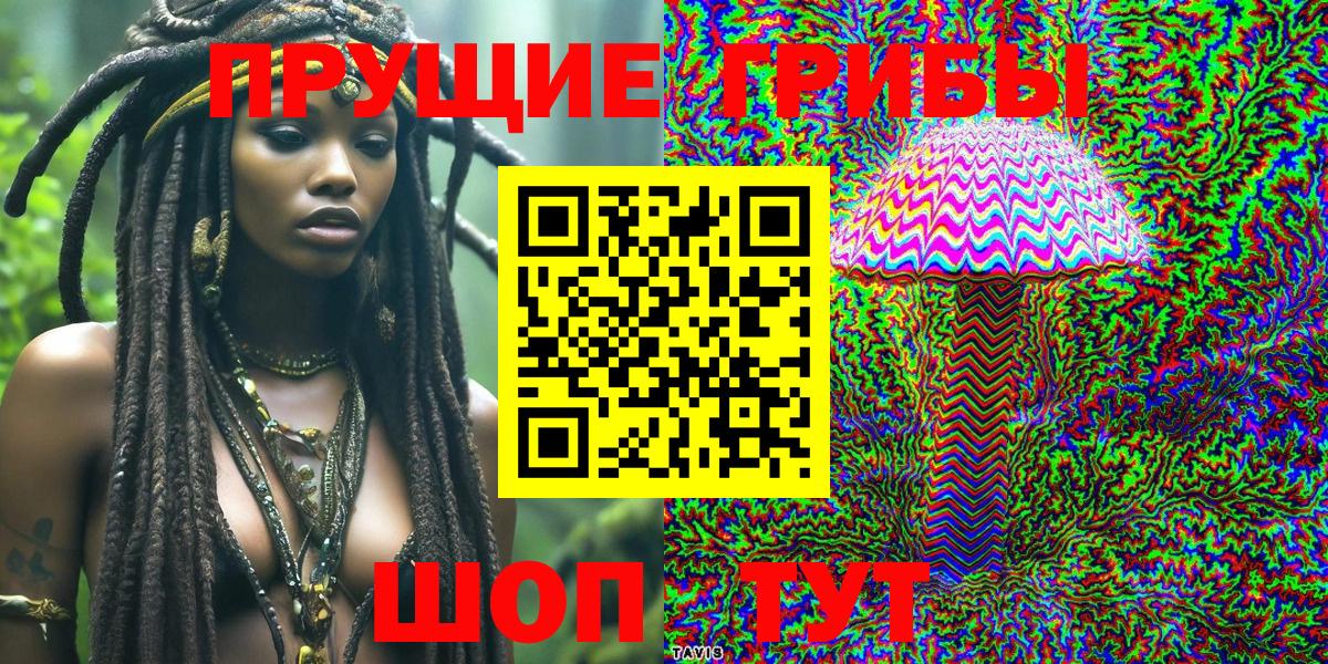 Псилоцибиновые грибы Psilocybine cubensis Фурманов