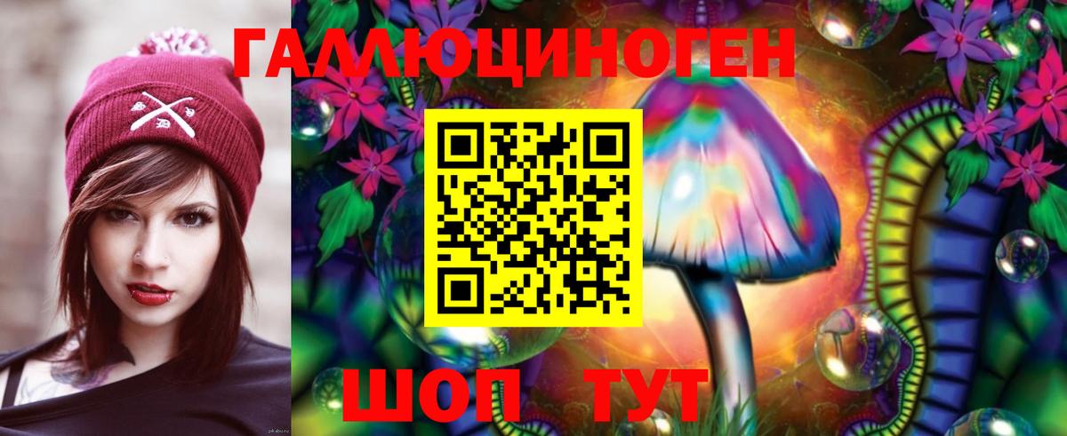 Галлюциногенные грибы прущие грибы  Псилоцибиновые грибы Psilocybine cubensis  Вход с VPN  Фурманов 