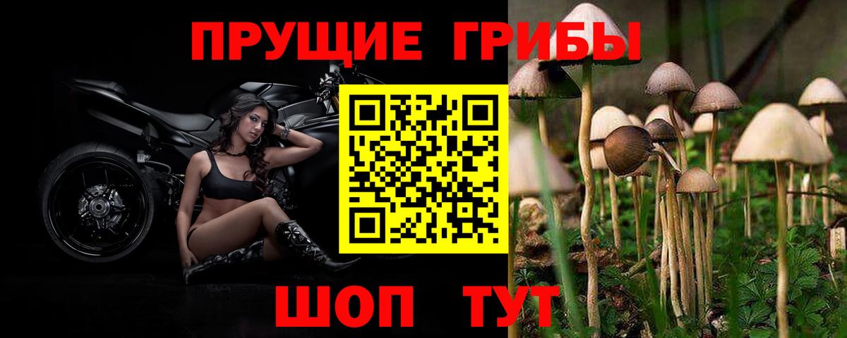 Галлюциногенные грибы мухоморы Фурманов