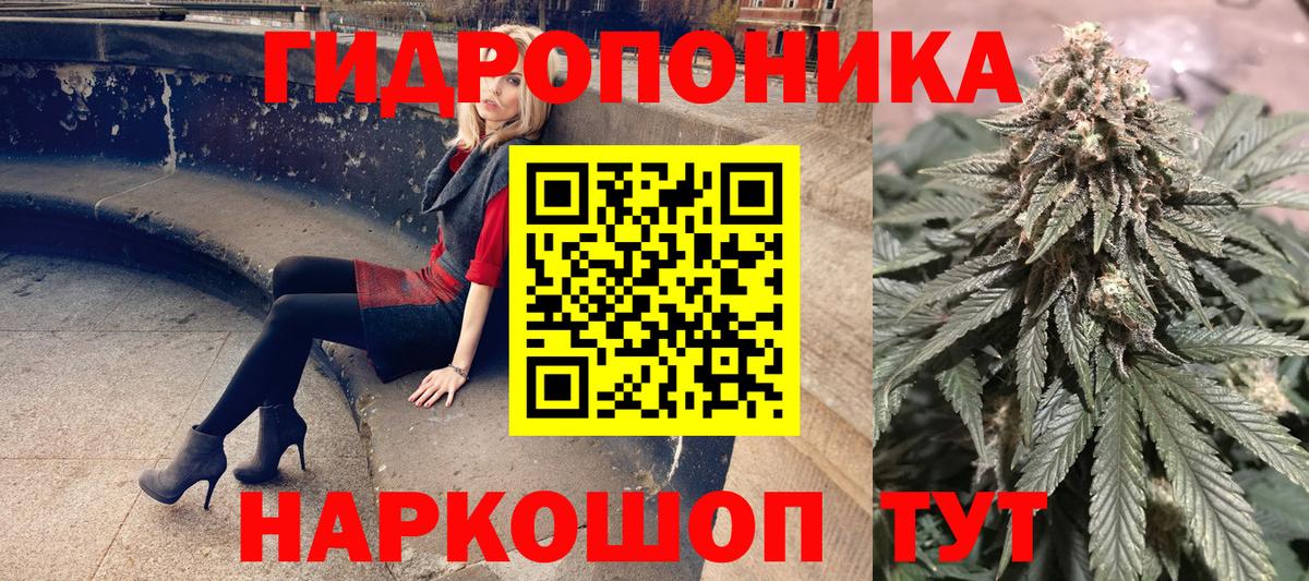 Конопля тримм  Шишки марихуана планчик  Фурманов  Шишки марихуана MAZAR  Бошки Шишки сатива 